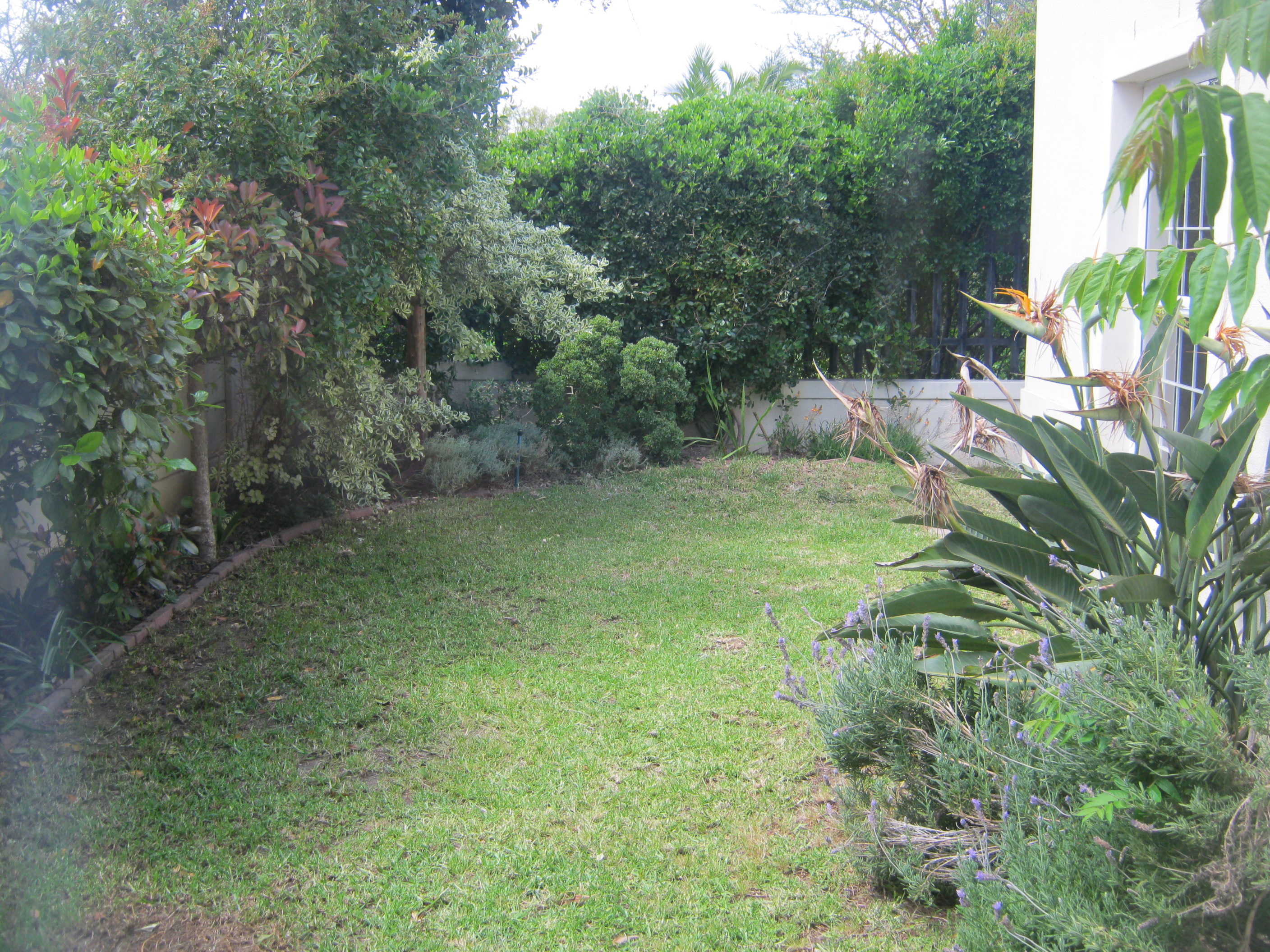 To Let 3 Bedroom Property for Rent in Fernwood Western Cape